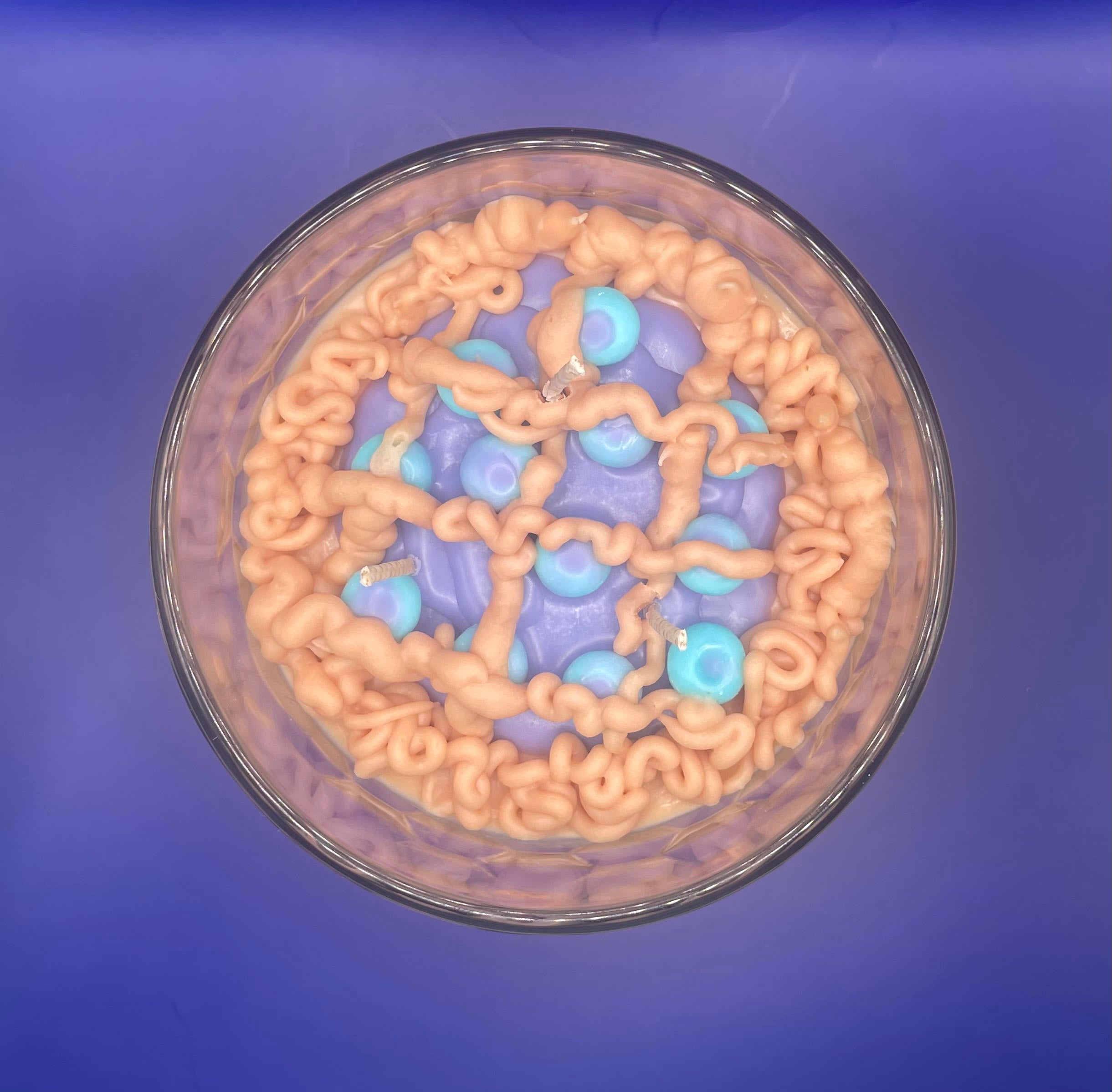 Blueberry Cobbler Candle 11oz